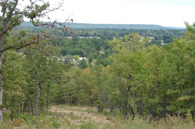 20 Acres Parcels! McIntosh County, Okahoma! Wooded! Surveyed!