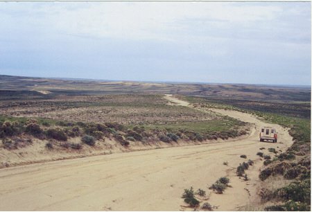 80 Acres Off Tipton Road! Only $230 Per Acre! L@@K!