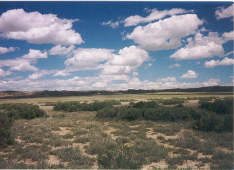 160 Acres Rawlins, Wyoming! Owner Will Carry!
