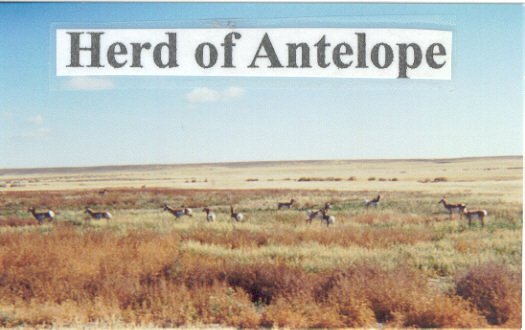120 Acres Wyoming! Great Hunting! Owner Will Carry!