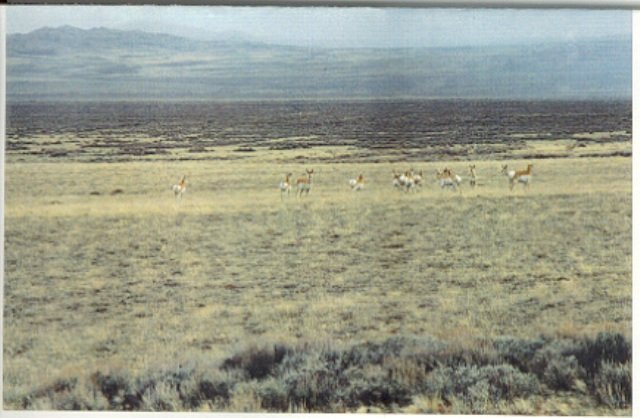 Wyoming 160 Acres! Great Hunting! Only $210/ac! Owner Will Carry!