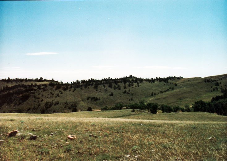 Wyoming 40 Acres Near Garfield Peak! Great Elk Hunting!