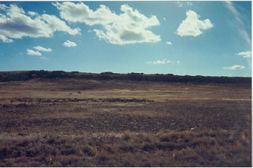 40 Acres West Of Casper! Surveyed! Build! No Qualifying! OWC!