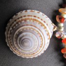 Yellow & Orange Jasper necklace with Sea Shell Pendant