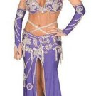 0211L-W92733, 4 Piece Persian Princess Costume with Beaded Details.