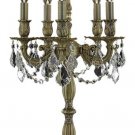 Reynard 5-Light 13" Crystal Table Lamp 7825TL13FG-SS