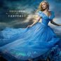 Custom Made New 2015 Cinderella Princess Dress