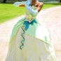 Custom Made The Princess and the Frog Tiana Princess Dress