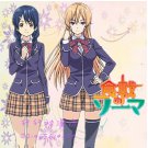 Shokugeki no Soma  Megumi Tadokoro Cosplay Costume