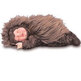 anne geddes hedgehog doll