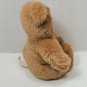 Anne Geddes Baby Bears Smiling Teeth Blue Eyes  Light Brown Bean Filled Bear 9"