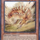 Yugioh Card Terrene Toothed Tsuchinoko - SHSP-EN043 - Common (Shadow Specters 1st Edition Singles)