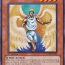 Yugioh Card Shining Angel - SDLS-EN015 - Common 1st Edition