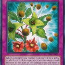 Yugioh Card Sinister Seeds - BP02-EN192 - Common Unlimited Edition
