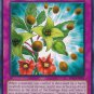 Yugioh Card Sinister Seeds - BP02-EN192 - Common Unlimited Edition