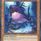 Yugioh Card Sharkraken - LTGY-EN007 - Common 1st Edition