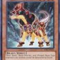 Yugioh Card Bujingi Wolf - JOTL-EN019 - Common Unlimited