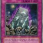 Yugioh Card Nature's Reflection - ABPF-EN065 - Common