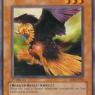 Yugioh Card Eagle Eye RDS-EN022 Common 1st Edition