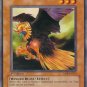 Yugioh Card Eagle Eye RDS-EN022 Common 1st Edition