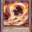 Yugioh Card Fencing Fire Ferret JOTL-EN097 Common 1st Edition