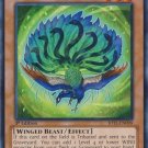 Yugioh Card Kujakujaku JOTL-EN098 1st Edition Common