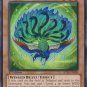 Yugioh Card Kujakujaku JOTL-EN098 1st Edition Common