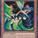 Yugioh Card Insect Queen LCJW-EN037 1st Edition Common