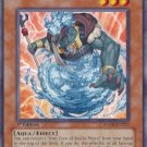 Yugioh Card Koa'ki Meiru Hydro Barrier - ANPR-EN022 - Common - 1st Edition  Ancient Prophecy