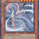 Yugioh Card Divine Dragon Aquabizarre - ANPR-EN026 - Common - 1st Edition  Ancient Prophecy