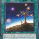 Yugioh Card Star Light, Star Bright - ORCS-EN052 - Common 1st Edition