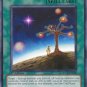 Yugioh Card Star Light, Star Bright - ORCS-EN052 - Common 1st Edition