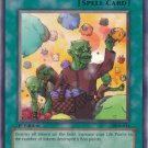 Yugioh Card Token Thanksgiving - DCR-041 - Common 1st Edition