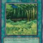 Yugioh Card Forest - LOB-046 - Common Unlimited Edition