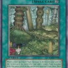 Yugioh Card Verdant Sanctuary - CRMS-EN060 - Common 1st Edition