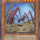Yugioh Card Desert Protector - CRMS-EN034 - Common 1st Edition