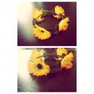 Gerbera Daisy