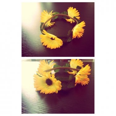 Gerbera Daisy