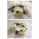 White Gerbera Daisy