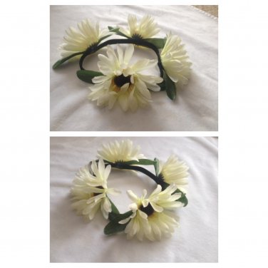 White Gerbera Daisy