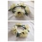 White Gerbera Daisy