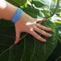 COCONUT STRAWBERRY FIG - Elephant Ear Fig (Ficus Auriculata )