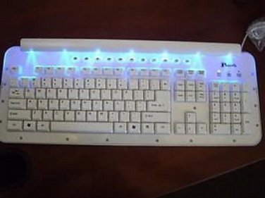 Glowing Keyboard + Mouse + ROD Luminescent Illuminated Glows in dark PC MAC USB
