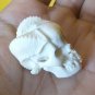 COOL ! Bali Skull Skeleton Demon DEVIL Head from Deer Antler Carving #r389