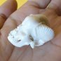 COOL ! Bali Skull Skeleton Demon DEVIL Head from Deer Antler Carving #r389