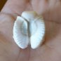COOL ! Bali Skull Skeleton Demon DEVIL Head from Deer Antler Carving #r389