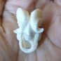 COOL ! Bali Skull Skeleton Demon DEVIL Head from Deer Antler Carving #r389