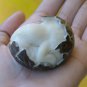 Bali Netsuke Penguin Pinguin EGG Statue From Tagua Nut Carving Table Decor #r385