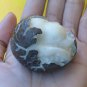 Bali Netsuke Penguin Pinguin EGG Statue From Tagua Nut Carving Table Decor #r385