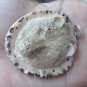 Bali Pendant Necklace BEAR HEAD From Deer Antler Carving w/ Silver Bail 925_r126